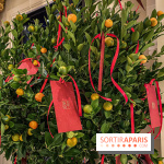 Menu du Nouvel an Chinois au Peninsula 2020