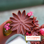 Pâques 2020 à l'InterContinental Paris Le Grand 