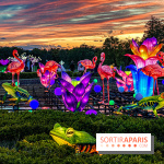 Photos : Thoiry Lumières Sauvages 2020-2021