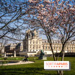 Cerisiers en fleurs à paris et aux alentours - Jardins des Tuileries - magnolias
