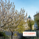 Jardin Catherine Labouré et le Jardin du Potager