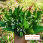 Muguet