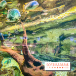 L'Aquarium Tropical de la Porte Dorée