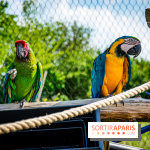 Parrot World, le parc animalier immersif d'Île-de-France
