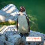 Parrot World, le parc animalier immersif d'Île-de-France