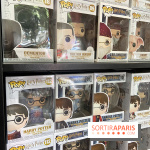 La Boutique aux 2 balais, un spot dédié à Harry Potter à Paris