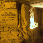 capucins