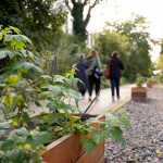 Jardin des Traverses : un espace de détente et d'agriculture urbaine sur la Petite Ceinture