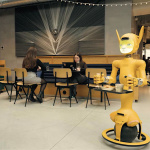 Mirokaï Expérience