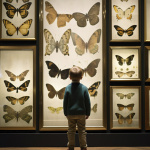 Fête de la Science 2025 : découvrez la collection de Zoologie du campus Jussieu