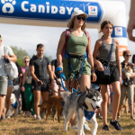 Canidays dans les Yvelines 