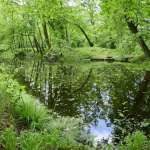 Animations et balades gratuites pour l'inauguration de ce domaine forestier