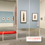 Les chefs-œuvre du MOMA au Jeu de Paume