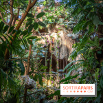 Mille & une orchidées 2022, les photos