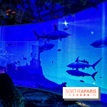 Ephemera, le premier restaurant immersif à Paris