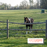 Le domaine du Chateau de Dampierre 