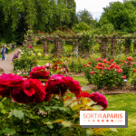 La Roseraie du Parc Lebaudy sur l'Ile de Puteaux