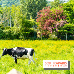 La promenade des petits ponts dans la vallée de Chevreuse -  A7C3845