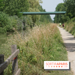 Une balade à vélo depuis Paris pour se rendre aux Cueillettes de Conflans