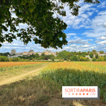 Houdan, ville médiévale et balade historique dans les Yvelines