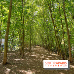 Balade sur la Petite Ceinture du 14 au 16e arrondissement : un sentier nature dépaysant