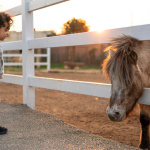 Des balades à dos de poney dans la Vallée de Chevreuse, à la ferme du Vieux Moulin (91)