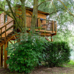 Espace nature creux du chêne