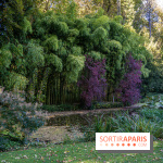 Le Jardin japonais du Château de Courances