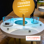 Mini-monstres, nos photos de l'exposition à la galerie de Géologie du Muséum d'Histoire naturelle