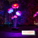 Illuminations de Noël 2022 : les Sentiers Lumineux de Noël au Parc Floral - nos photos