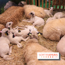 Salon de l'agriculture 2023 - (1)