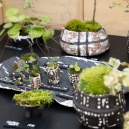 Les journées des plantes & Art  - 0S6A3267 2