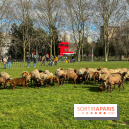 Transhumance à la Villette - 0A0601BF B46E 4CB3 8C5C 8FCED47E3559