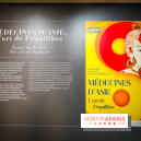 Médecines d'Asie, l'art de l'équilibre : l'exposition bien-être étonnante du musée Guimet - photos
