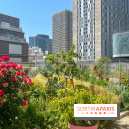 Jardins partagés (toit Beaugrenelle)