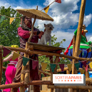 L'Été Gaulois au Parc Astérix