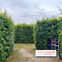 Les labyrinthes de Gally 2023