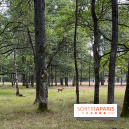 Espace Rambouillet