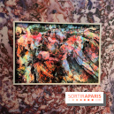 Poetry of Earth de Maya Rochat