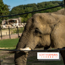 Les lodges de Thoiry - dormir à Thoiry en Terres d'Afrique - Photos -  A7C3226