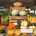 Automne au Potager du Roi - Citrouilles - Halloween