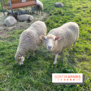 La ferme pédagogique du parc des Chanteraines