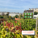 Vignes Montmartre