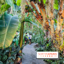 Automne Tropical 2023