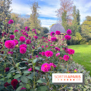Le parc Montsouris - nos photos