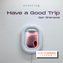 Exposition immersive Have a Good Trip Dan Ghenacia Sobering Galerie - IMG 1966