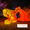 Odyssée Lumineuse, le festival des lumières au Parc Floral - IMG 2527
