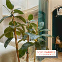 Dream Machine - IMG 7694