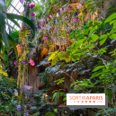 1001 Orchidées 2024, les photos de l'exposition florale dans les Grandes Serres du Muséum -  A7C5151 HDR