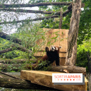 Ménagerie du Jardin des Plantes 2024 - panda